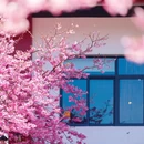 龙岩旅游 缩略图 5