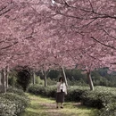 龙岩旅游 缩略图 4