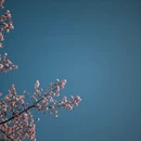 龙岩旅游 缩略图 3