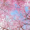龙岩旅游 缩略图 8