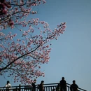 龙岩旅游 缩略图 2