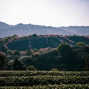 龙岩旅游 缩略图 7
