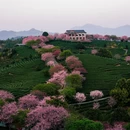 龙岩旅游 缩略图 14
