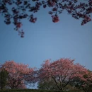龙岩旅游 缩略图 11