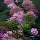 龙岩旅游 缩略图 13