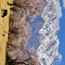 林芝旅游 缩略图 4