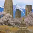 林芝旅游 缩略图 9