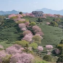福州旅游 缩略图 2