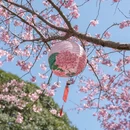 福州旅游 缩略图 9