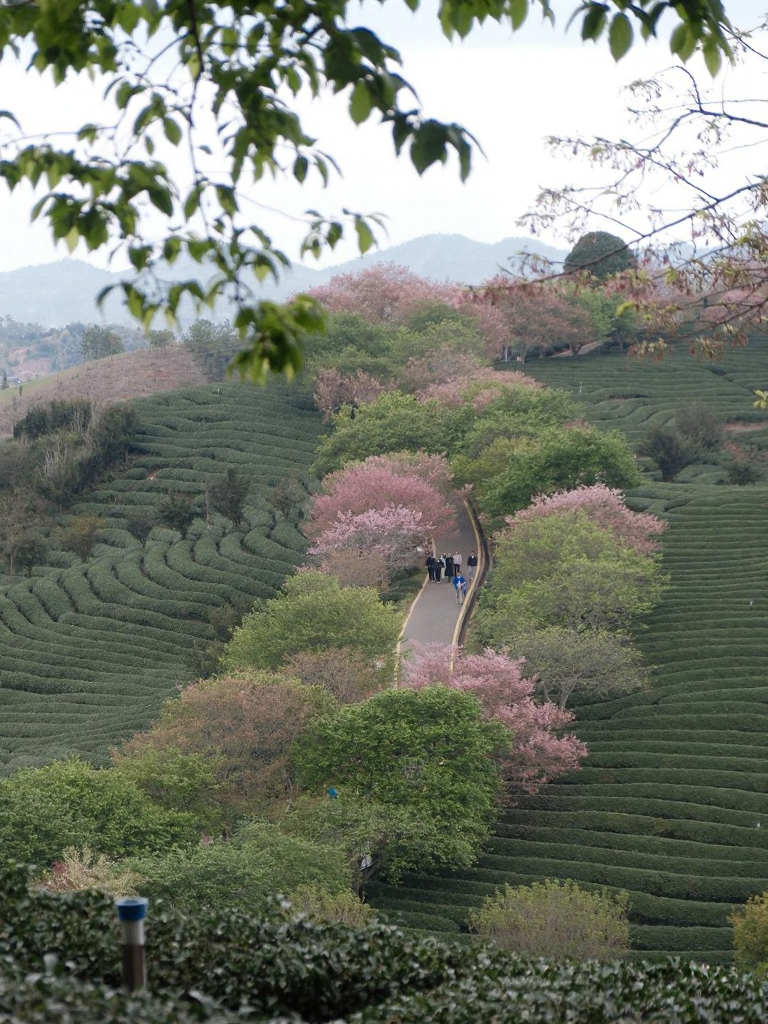 龙岩旅游