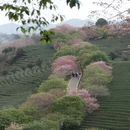 龙岩旅游 缩略图 1