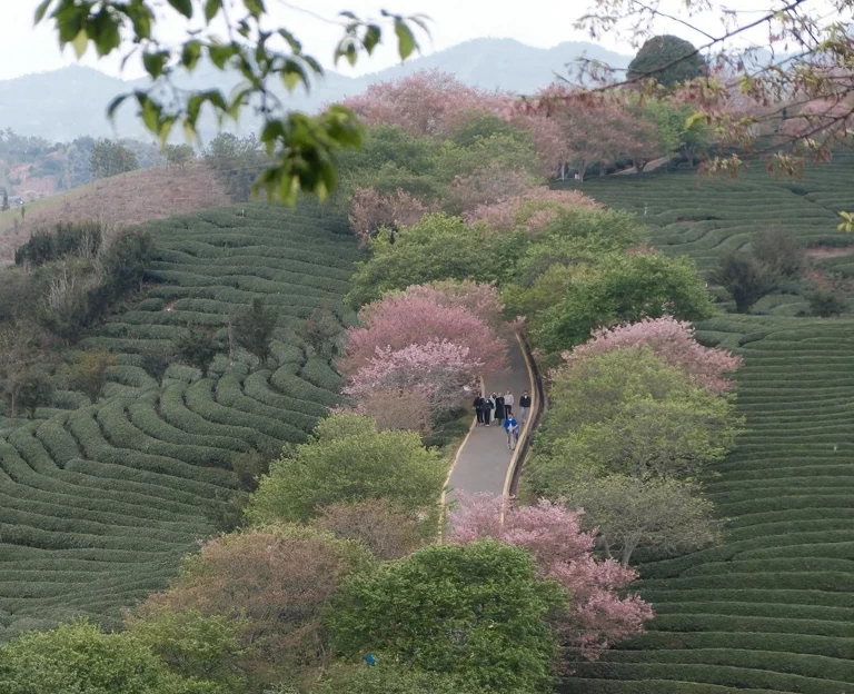 龙岩旅游 1