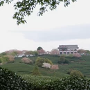 龙岩旅游 缩略图 5