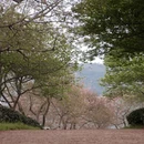 龙岩旅游 缩略图 7