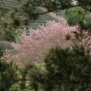 龙岩旅游 缩略图 6