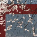 林芝旅游 缩略图 4