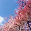 龙岩旅游 缩略图 1