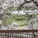 林芝旅游 缩略图 3