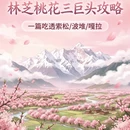 林芝旅游 缩略图 1