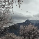 林芝旅游 缩略图 6