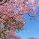 龙岩旅游 缩略图 3