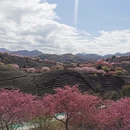 龙岩旅游 缩略图 9