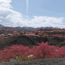 龙岩旅游 缩略图 10