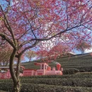 龙岩旅游 缩略图 5