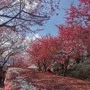 龙岩旅游 缩略图 7