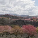 龙岩旅游 缩略图 8