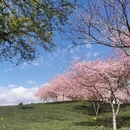 龙岩旅游 缩略图 2