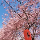 龙岩旅游 缩略图 16