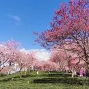 龙岩旅游 缩略图 15