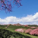 龙岩旅游 缩略图 13