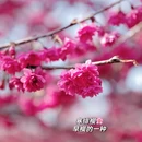 龙岩旅游 缩略图 3