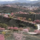 龙岩旅游 缩略图 11