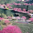 龙岩旅游 缩略图 2