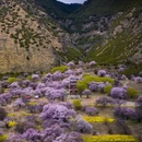 林芝旅游 缩略图 2