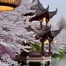 杭州旅游 缩略图 2