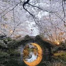杭州旅游 缩略图 1