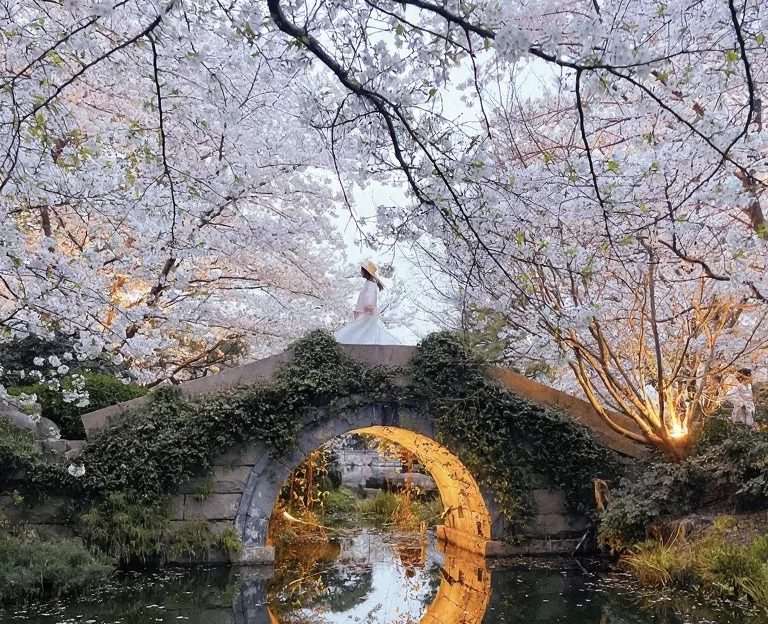 杭州旅游 1