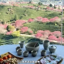 龙岩旅游 缩略图 4
