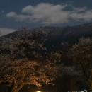 林芝旅游 缩略图 3