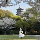 杭州旅游 缩略图 15