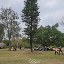 广州旅游 缩略图 17