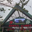 广州旅游 缩略图 15