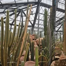 广州旅游 缩略图 10