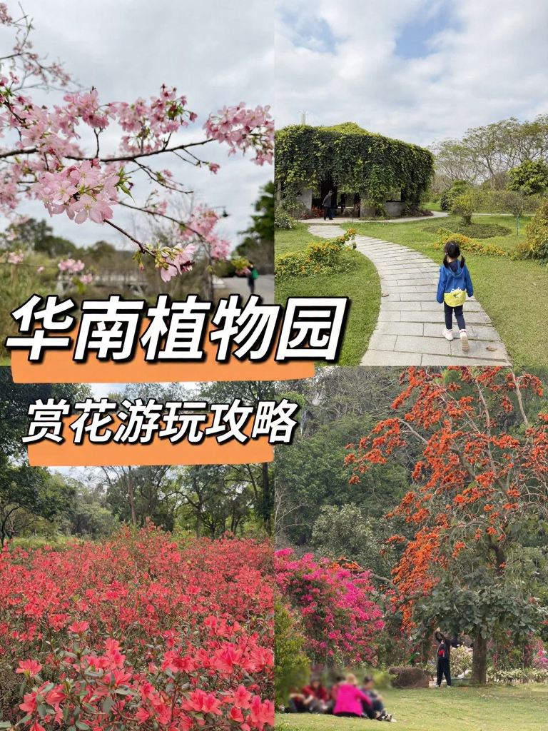 广州旅游