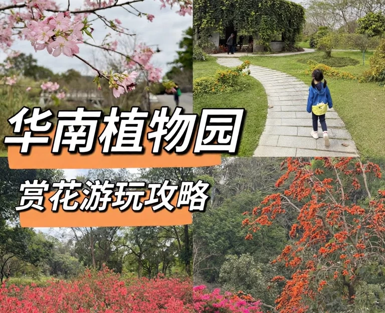 广州旅游 1