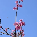 广州旅游 缩略图 12